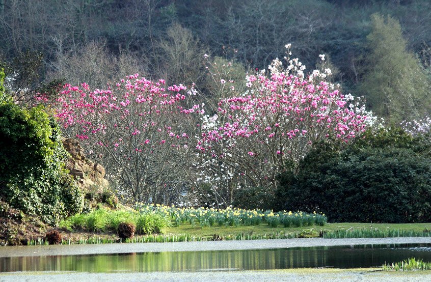 National Botanical Conservatory of Brest, Brest, France, France